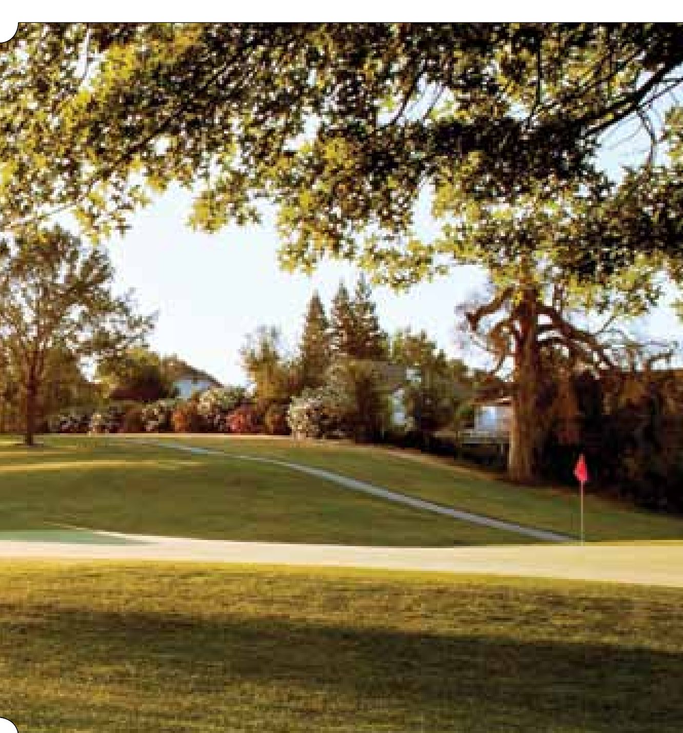 A Diamond Oaks green under a spreading oak canopy with the red pin visible