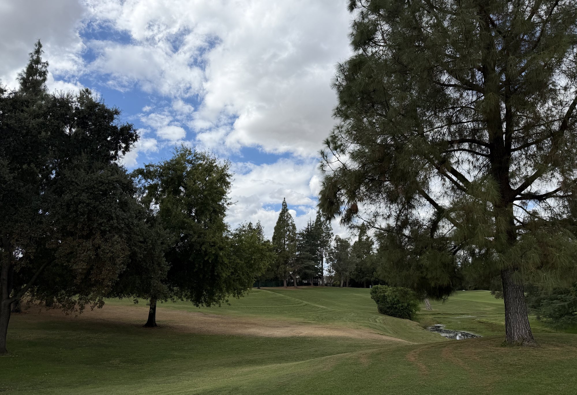 A Diamond Oaks fairway framed by mature oaks and pines