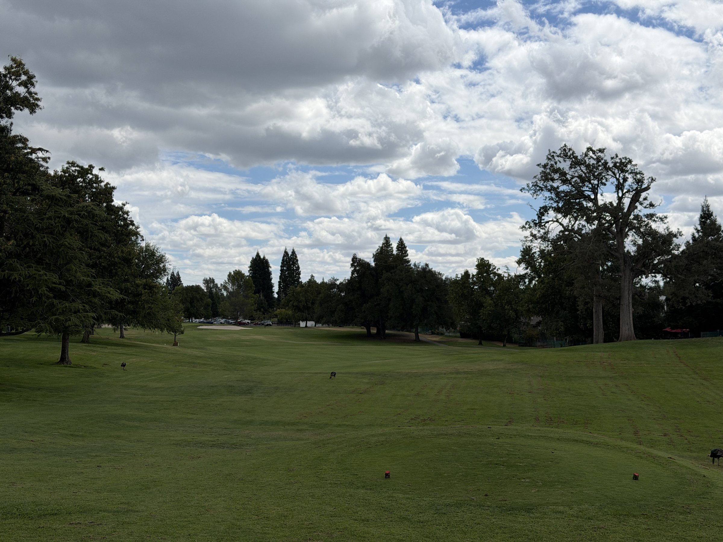 A wide Diamond Oaks fairway under a broad valley sky