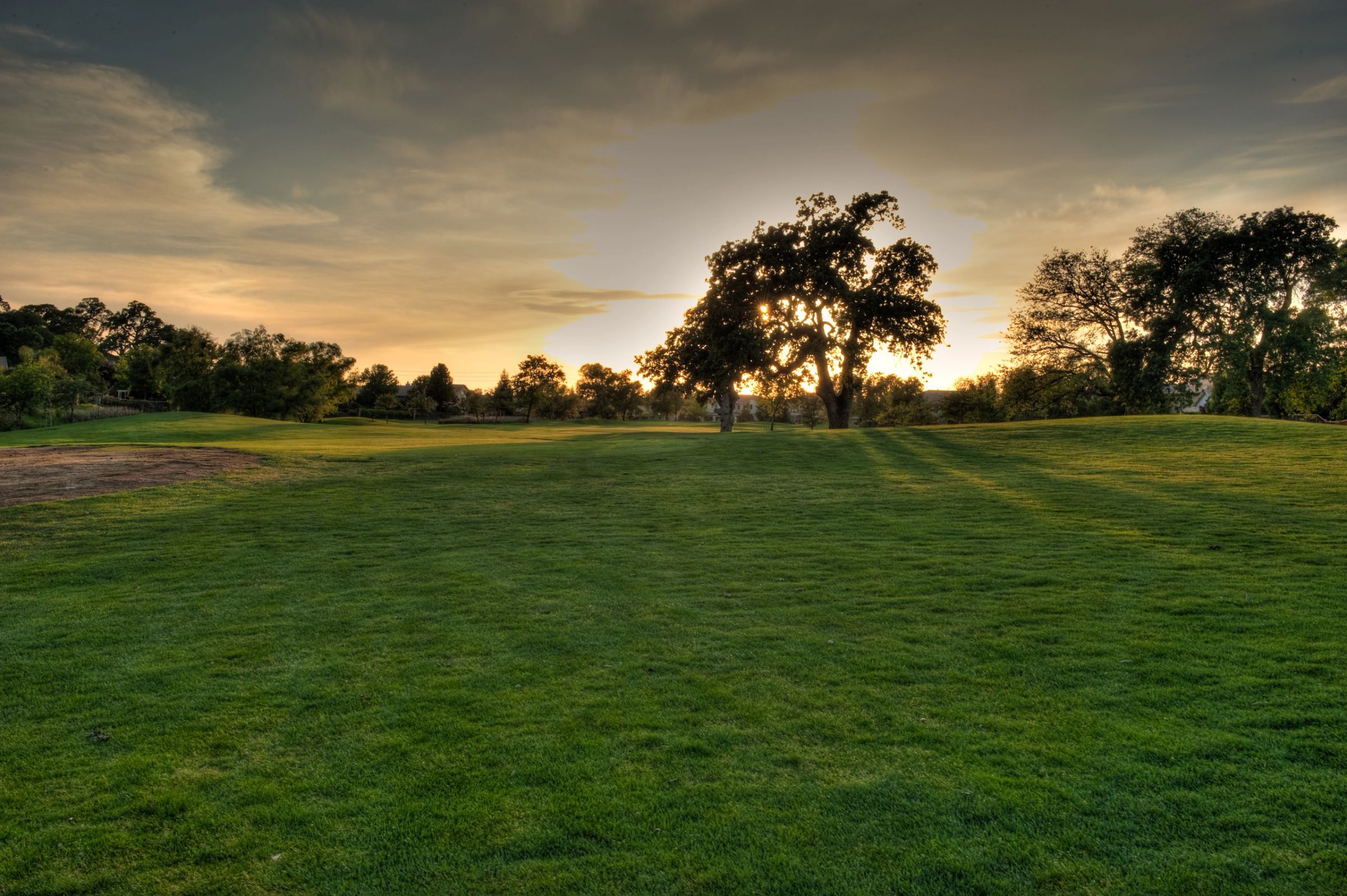 Golden hour light across a wide fairway lined with valley oaks at a City of Roseville golf course