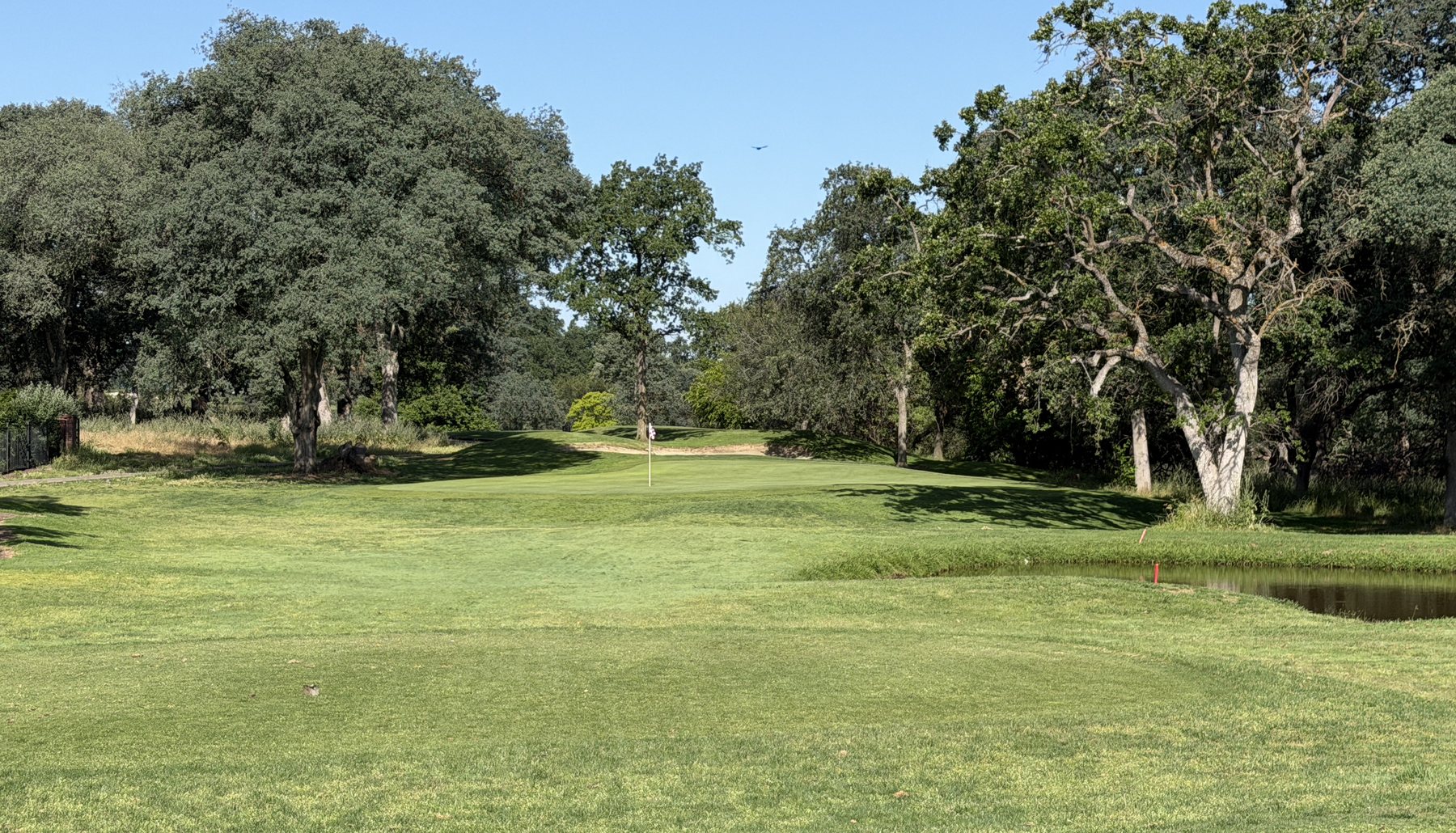 The approach to a Woodcreek green framed by valley oaks, water short right