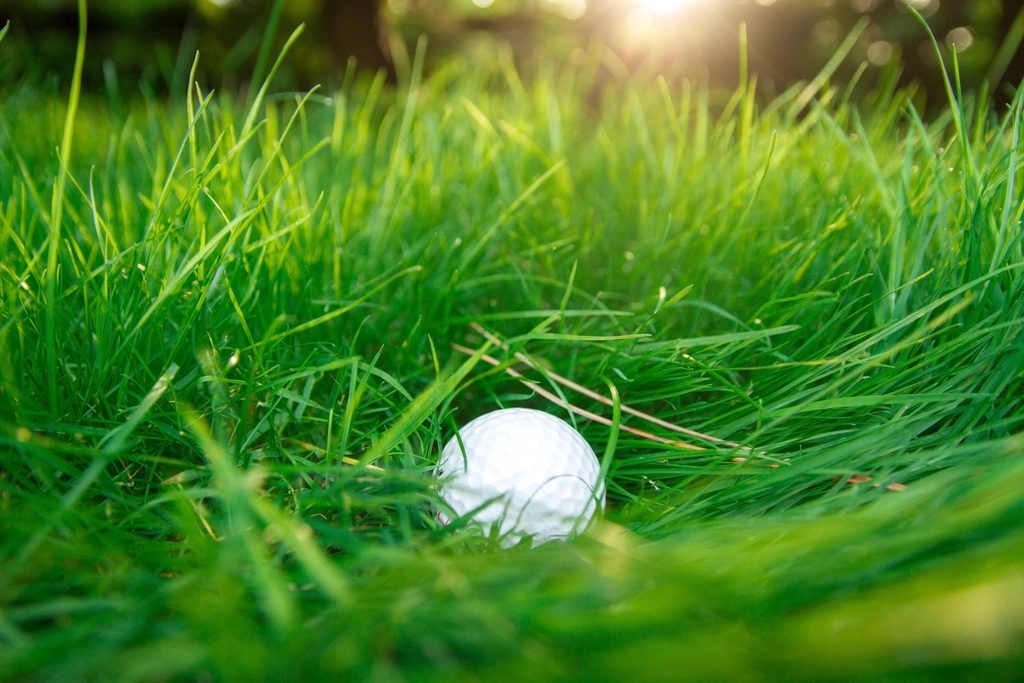 A golf ball nestled in backlit fairway grass