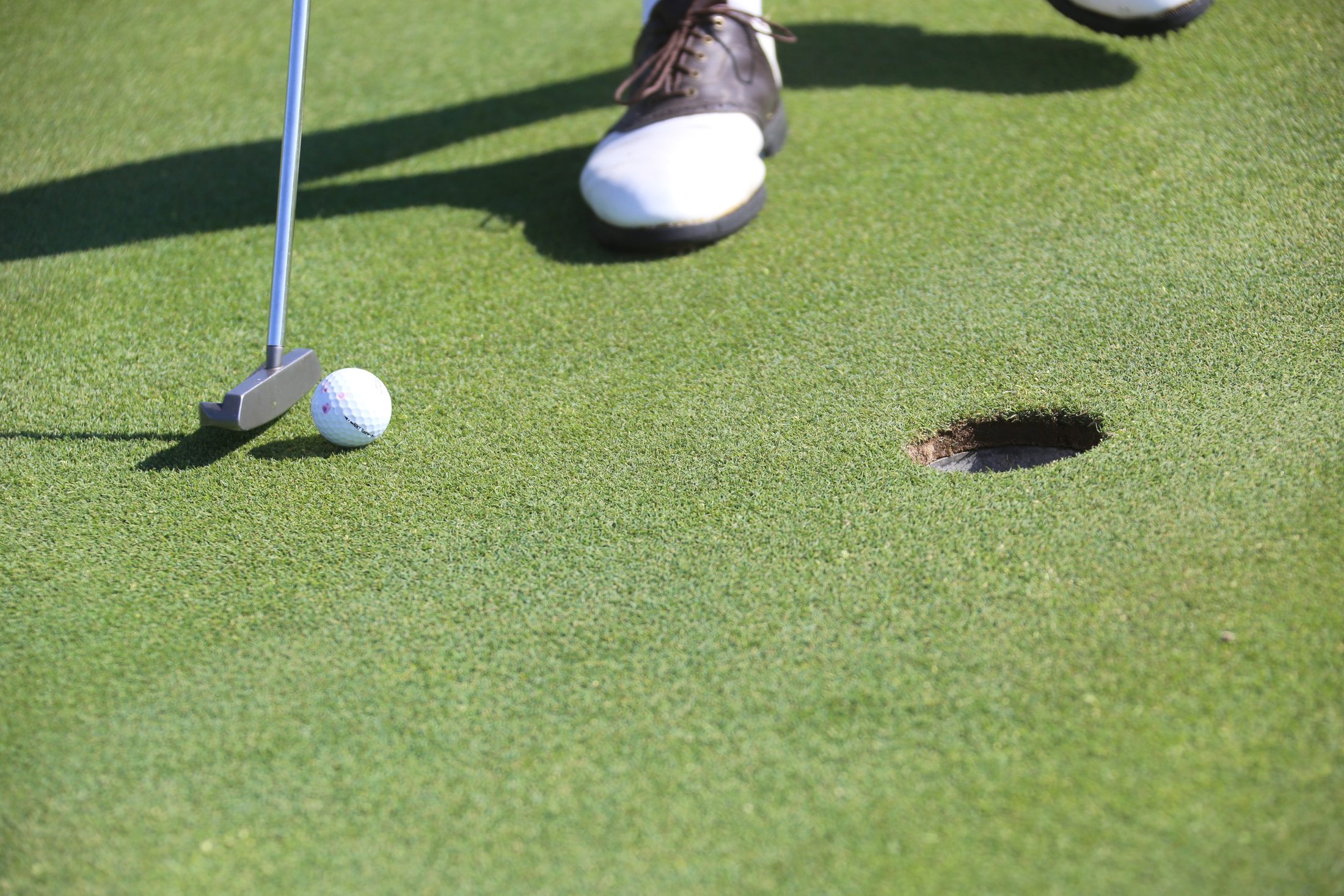 A putt dropping on a close-mown green