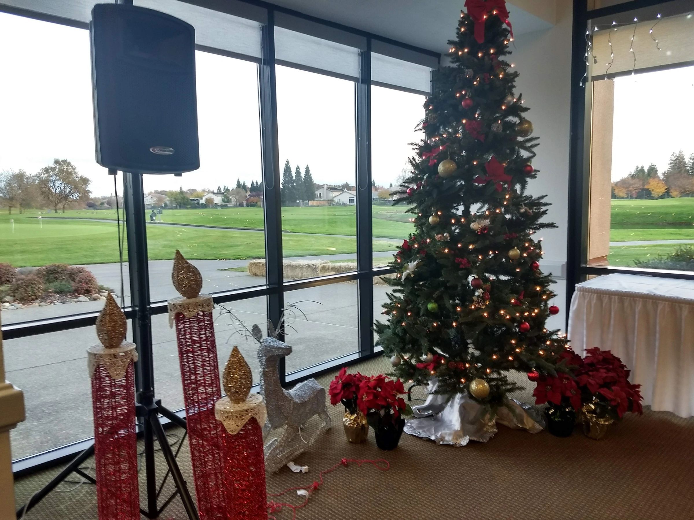Decorated Christmas tree beside the windows overlooking the course